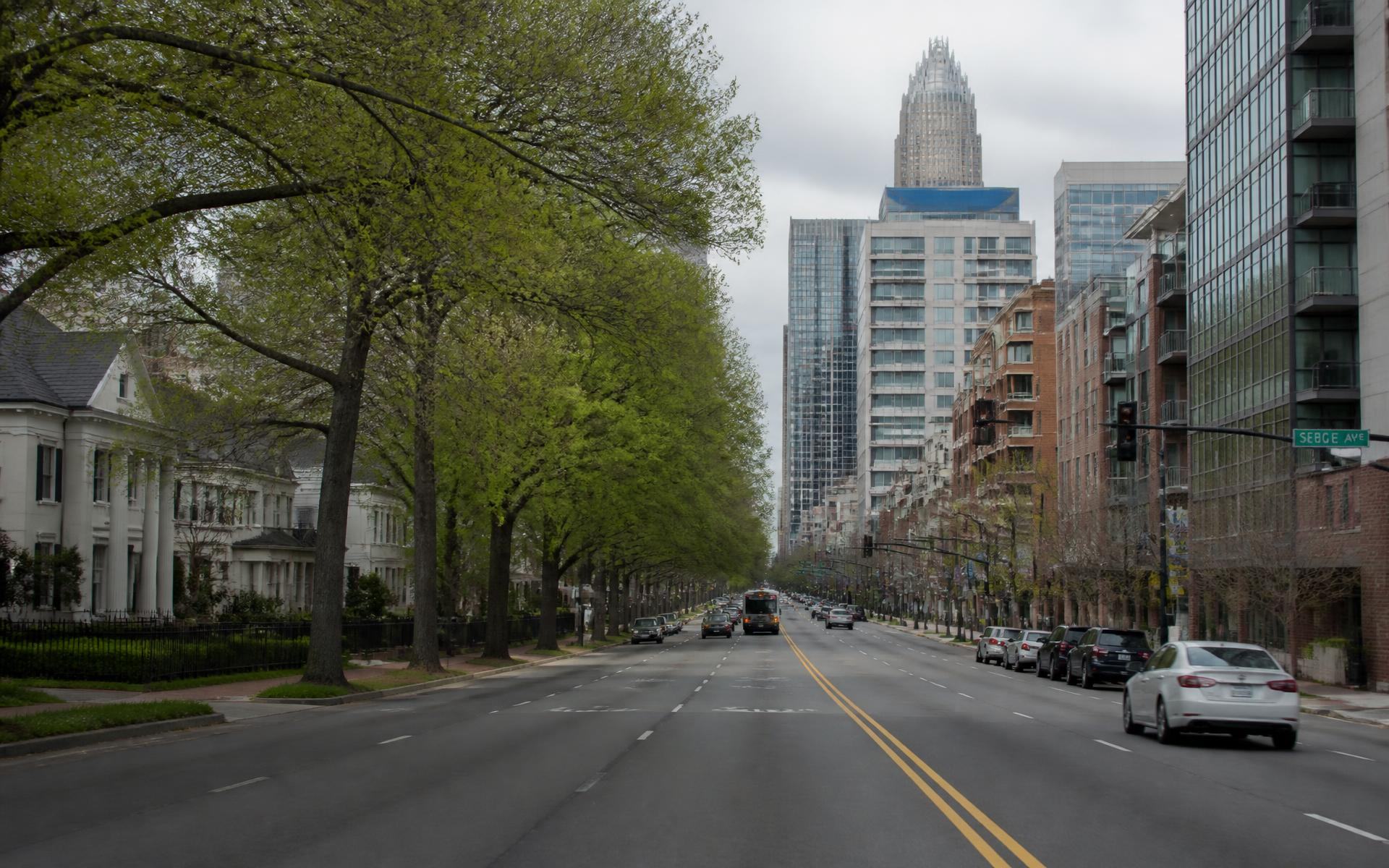 A tree-lined boulevard of historic homes meeting dense new development in Charlotte