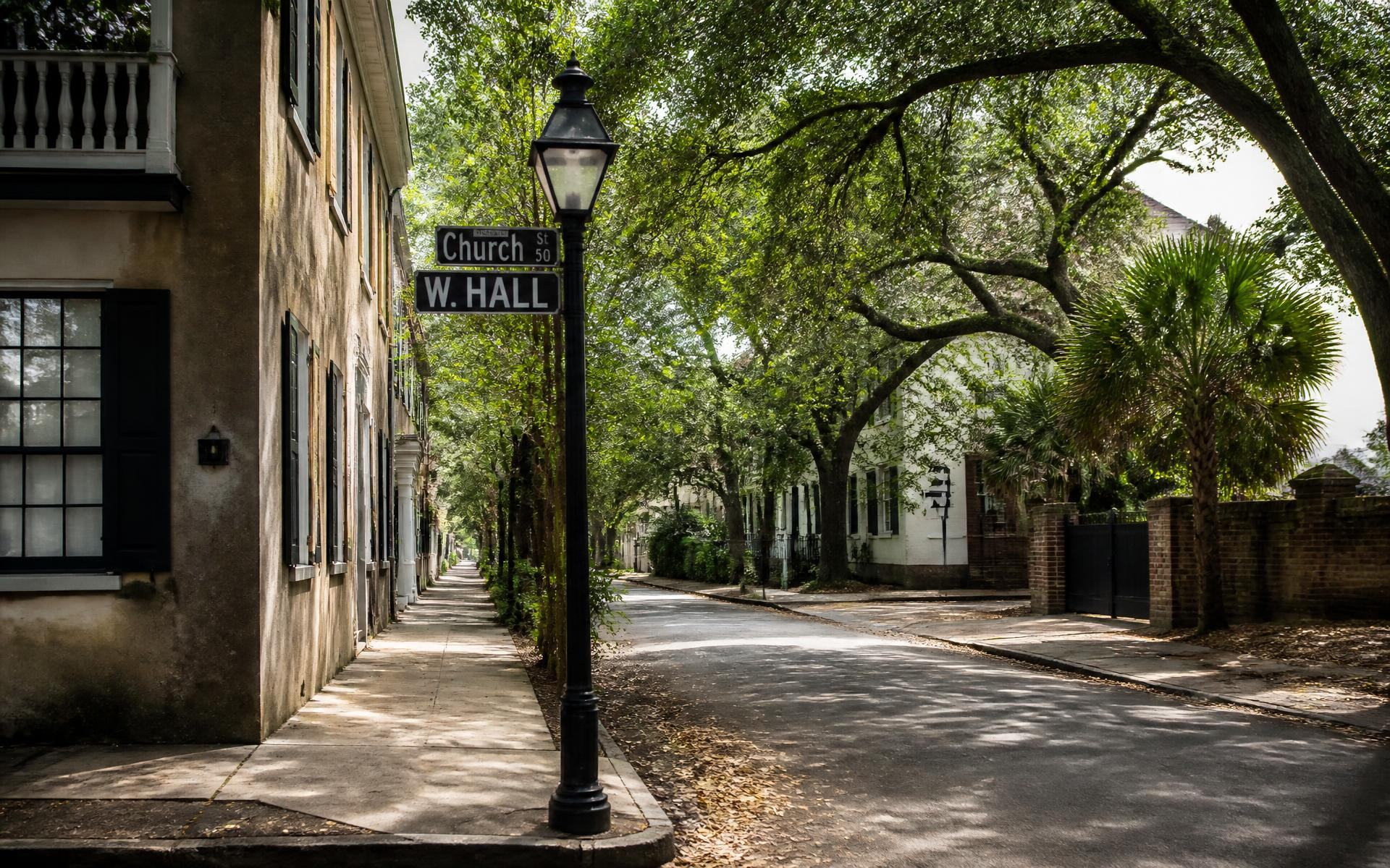 Historic tree-lined street in Dilworth, Charlotte, North Carolina