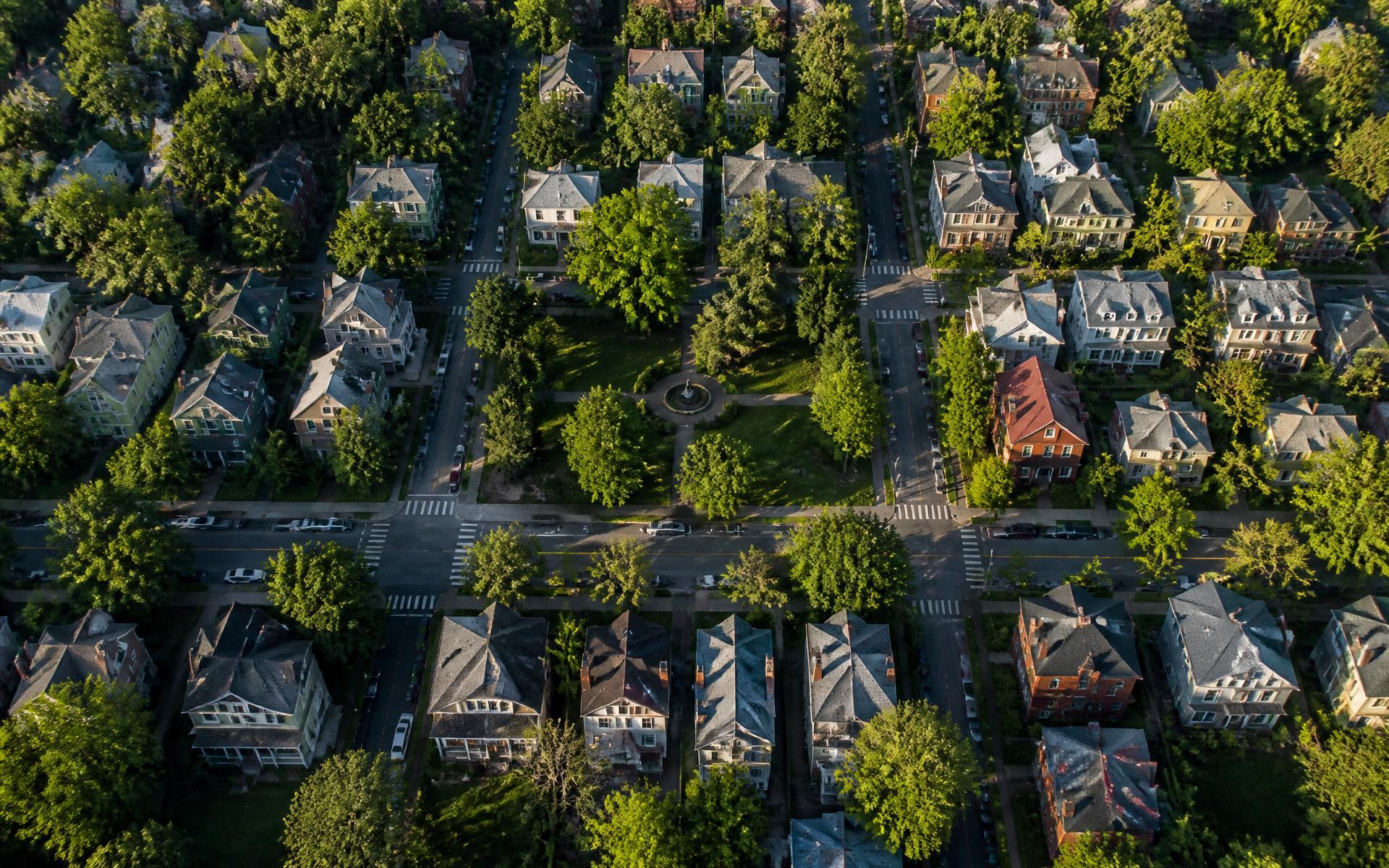 Neighbors walking a shaded sidewalk in a residential pocket of Dilworth